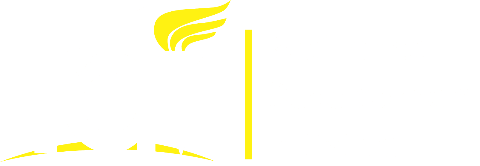 Resilience Development Initiative Logo